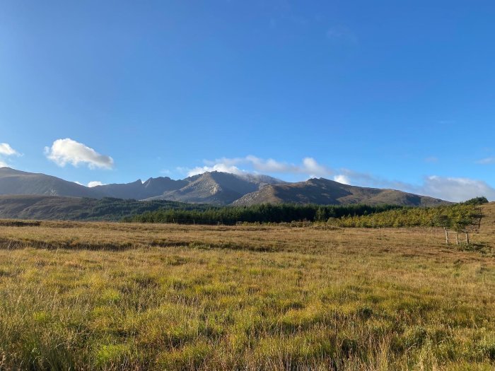 Arran's hillsides glisten gold.
