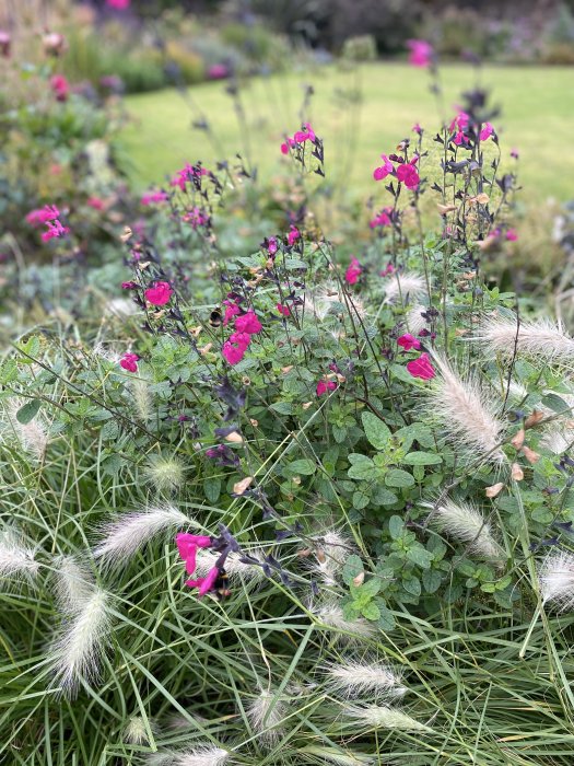 The gardens at Brodick Castle on the Scottish Isle of Arran are colourful throughout the season.