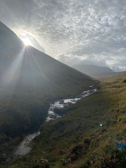 Autumn light in an Arran glen.