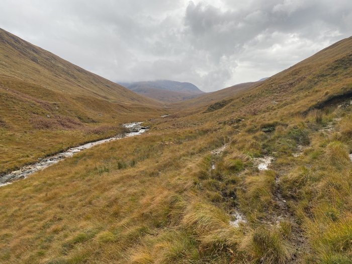 Bronze hillsides in an Arran glen.