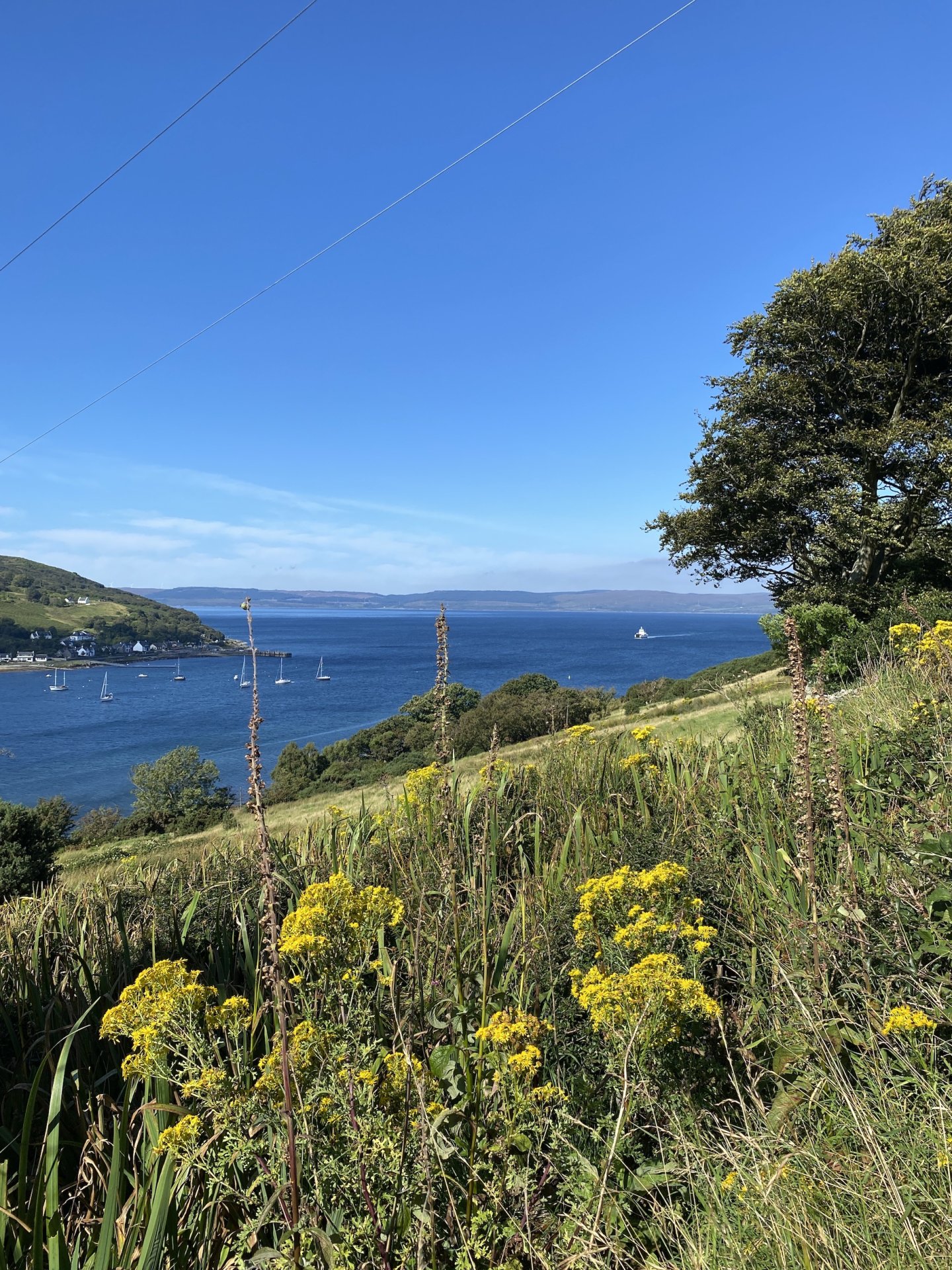 Emily Rose Mawson Arran