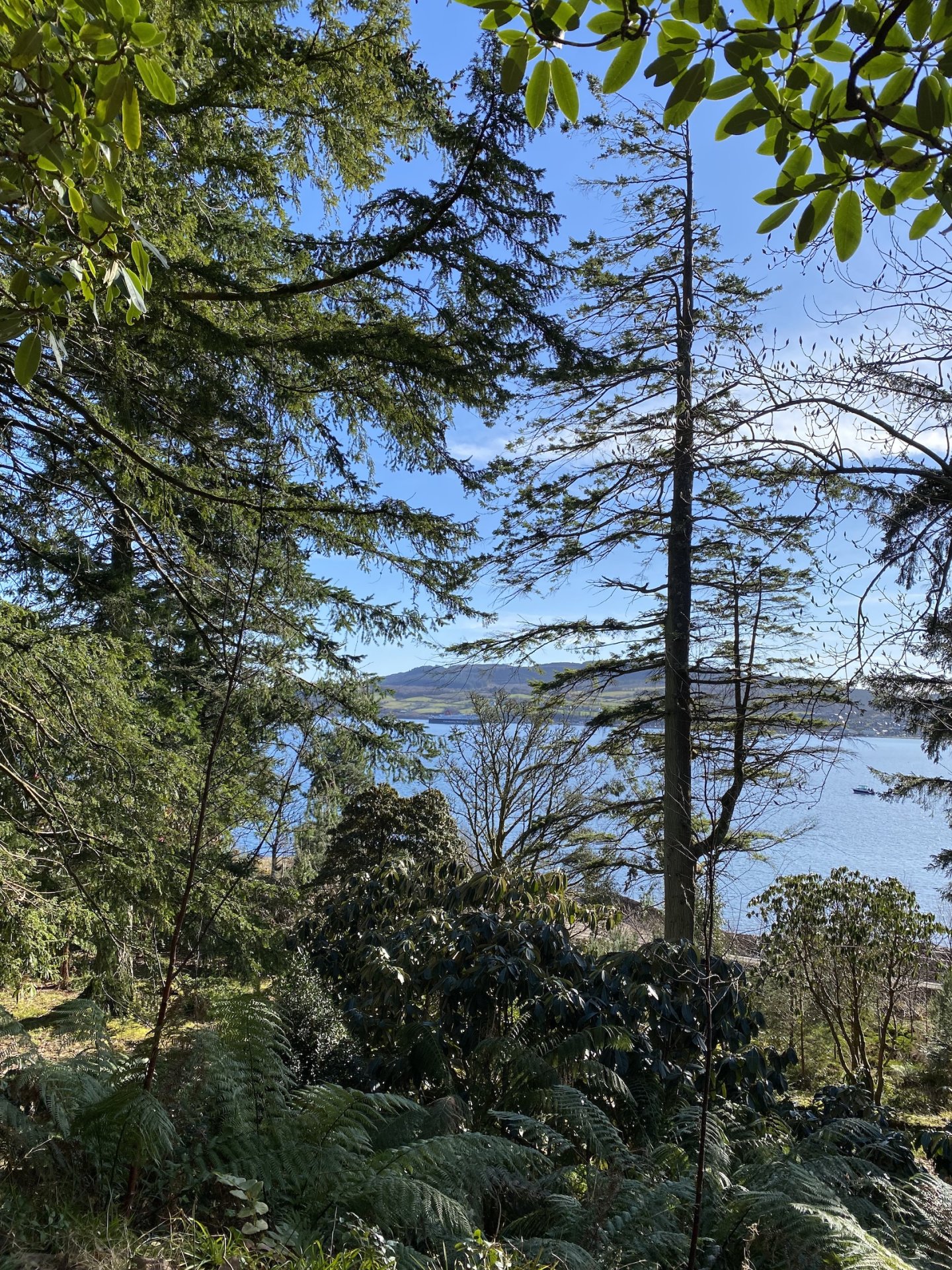 The view from Brodick Castle across the Firth of Clyde is reminiscent of the Mediterranean.