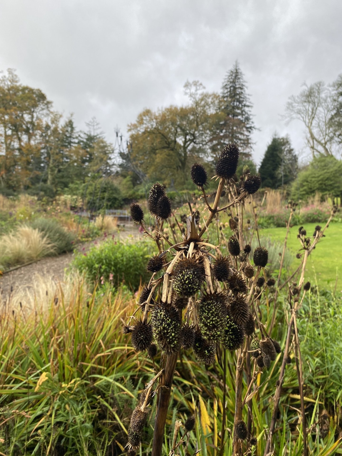 The gardens at Brodick Castle are full of botanic diversity.