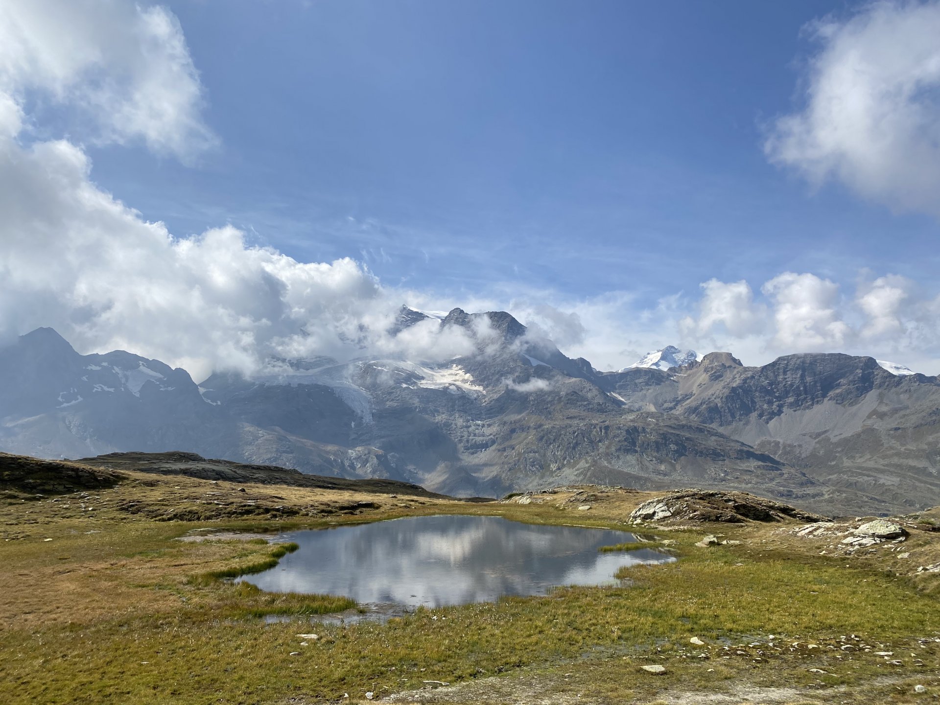 Emily Rose Mawson Blog