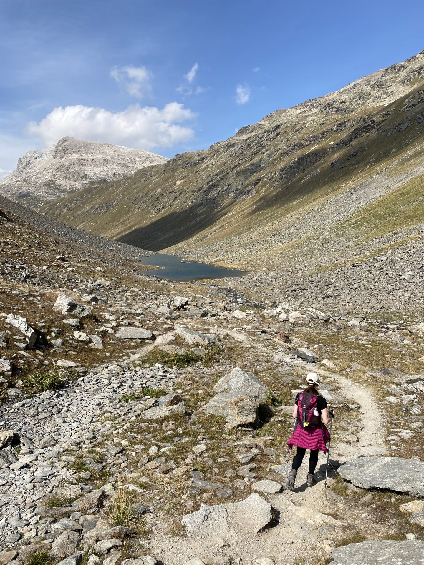 Emily Rose Mawson Blog