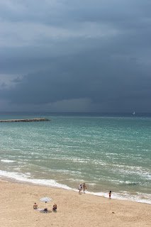 Emily Rose Mawson Blog