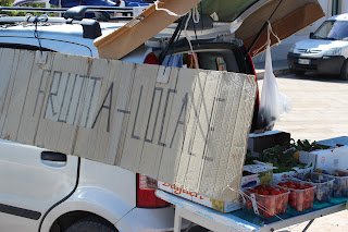 Emily Rose Mawson Blog