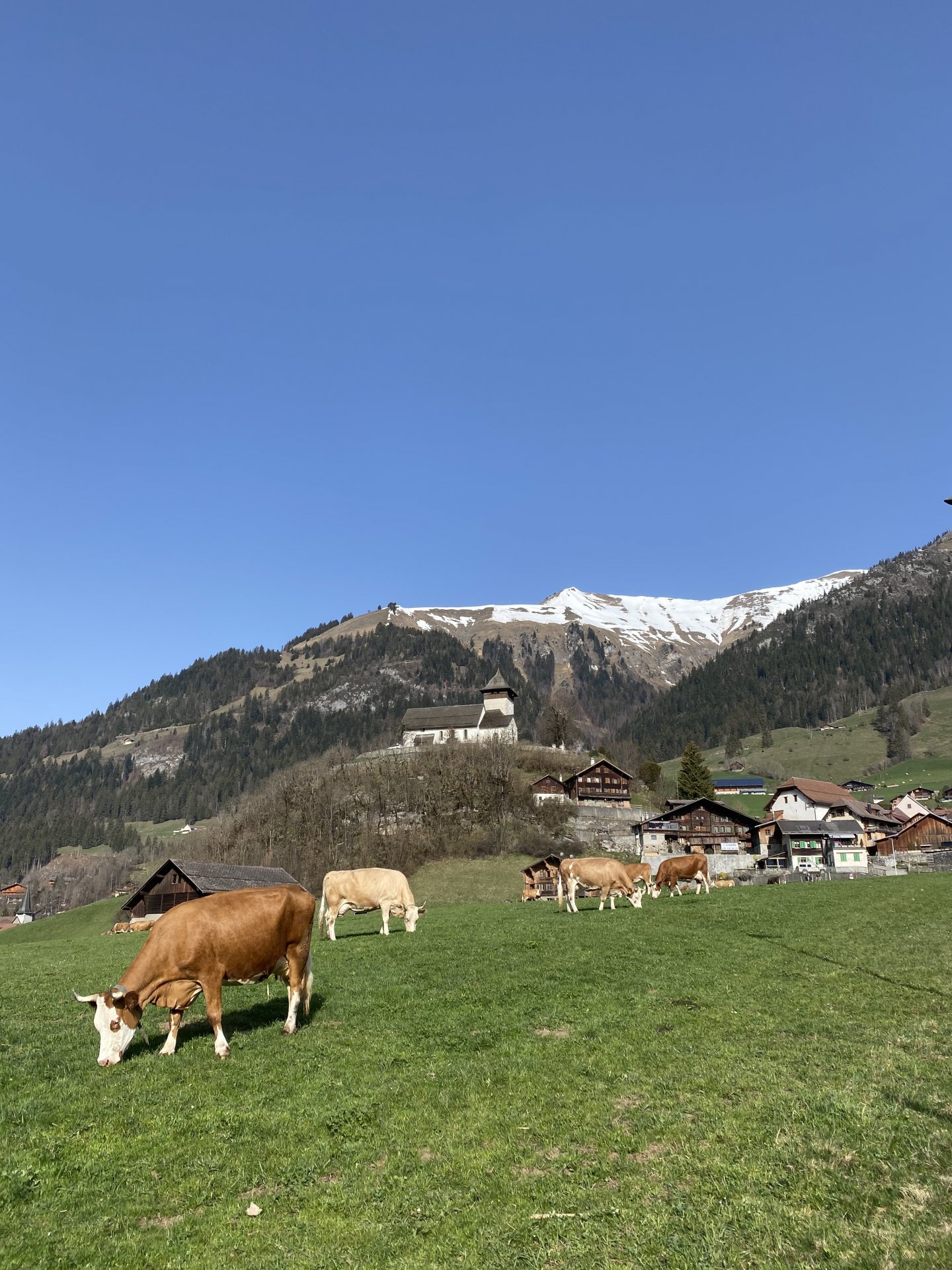 Emily Rose Mawson Blog