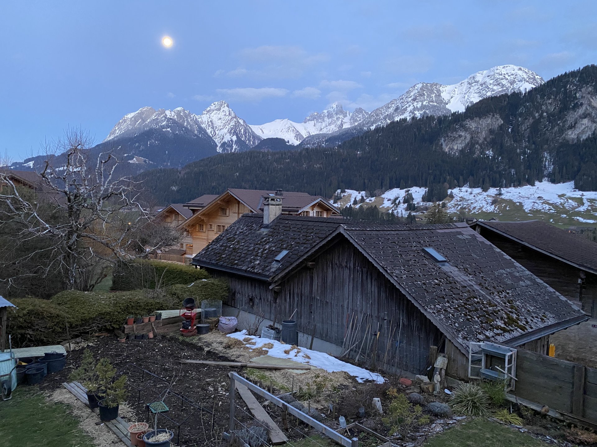 Emily Rose Mawson Blog