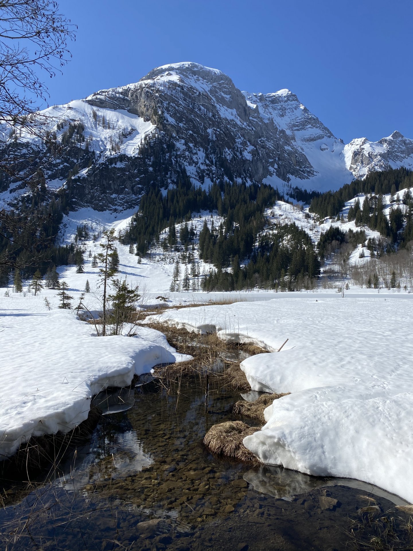 Emily Rose Mawson Blog