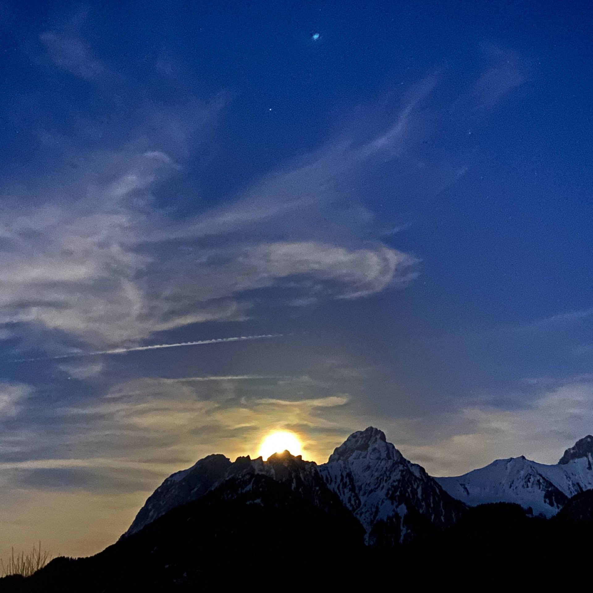 Emily Rose Mawson Blog