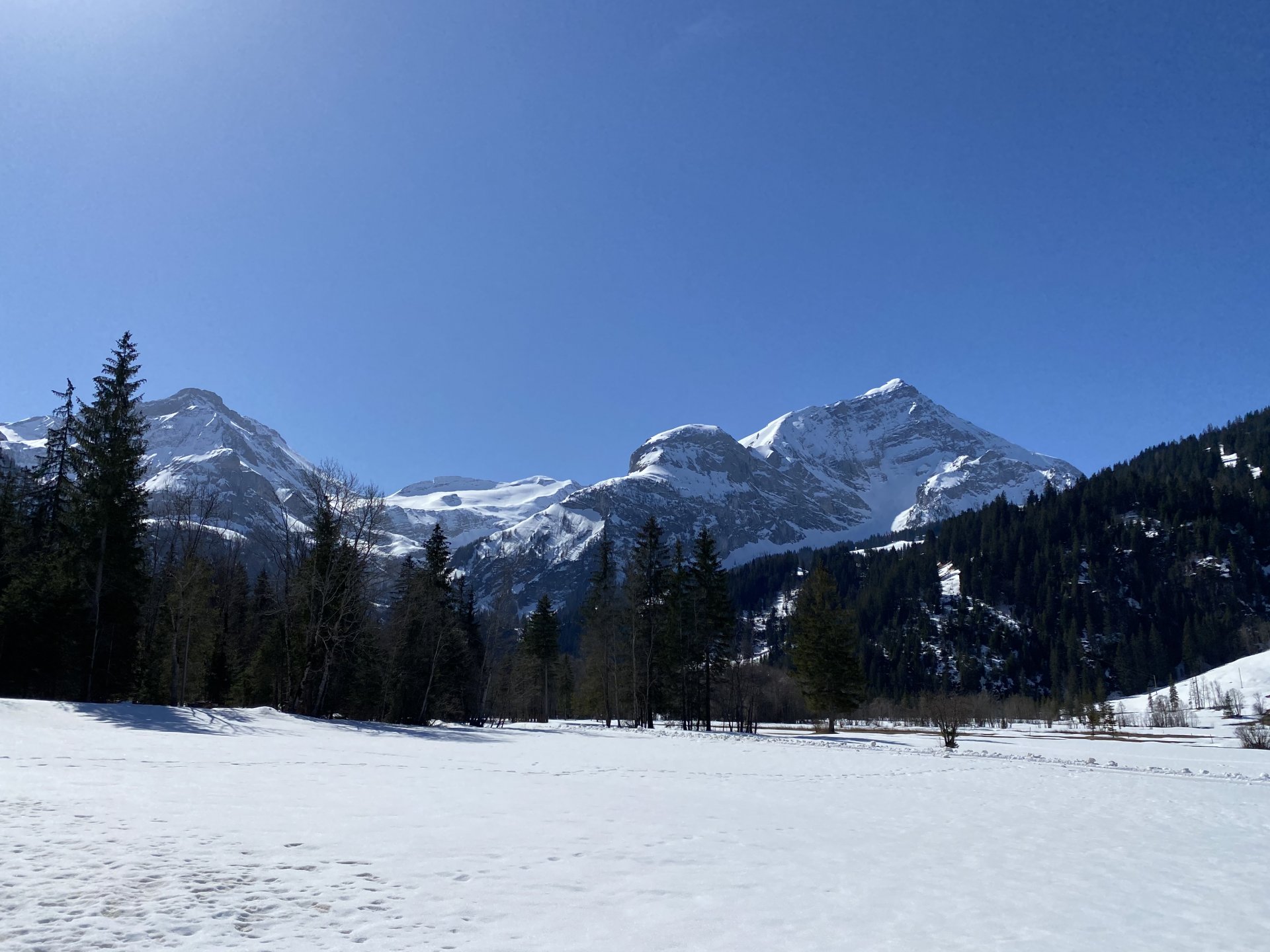 Emily Rose Mawson Blog