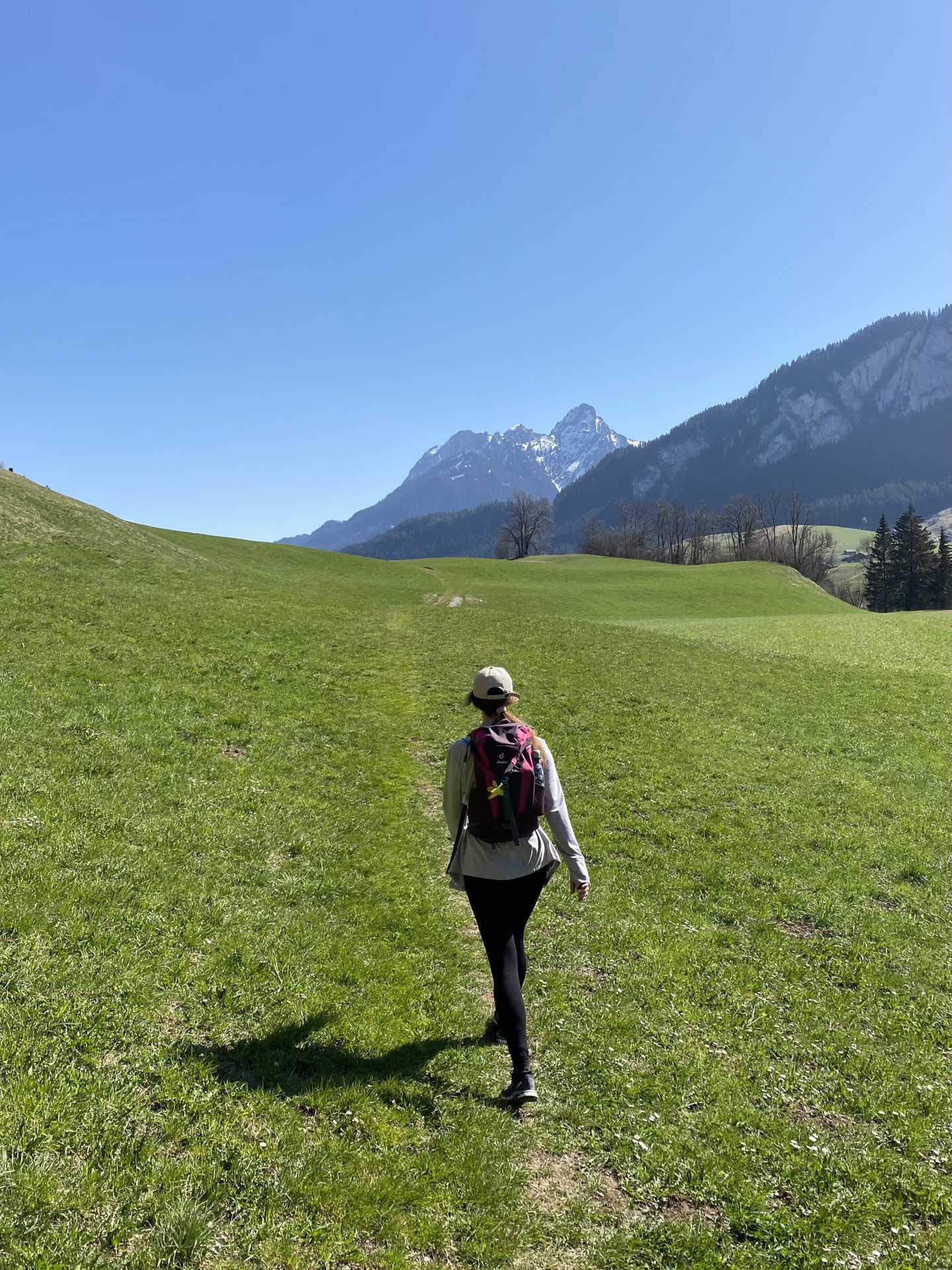 Emily Rose Mawson Blog