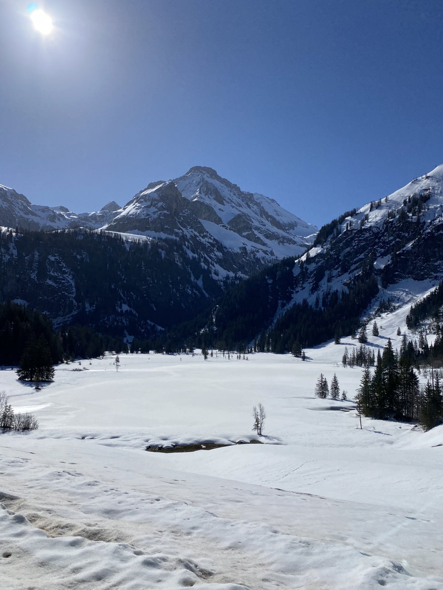 Emily Rose Mawson Blog