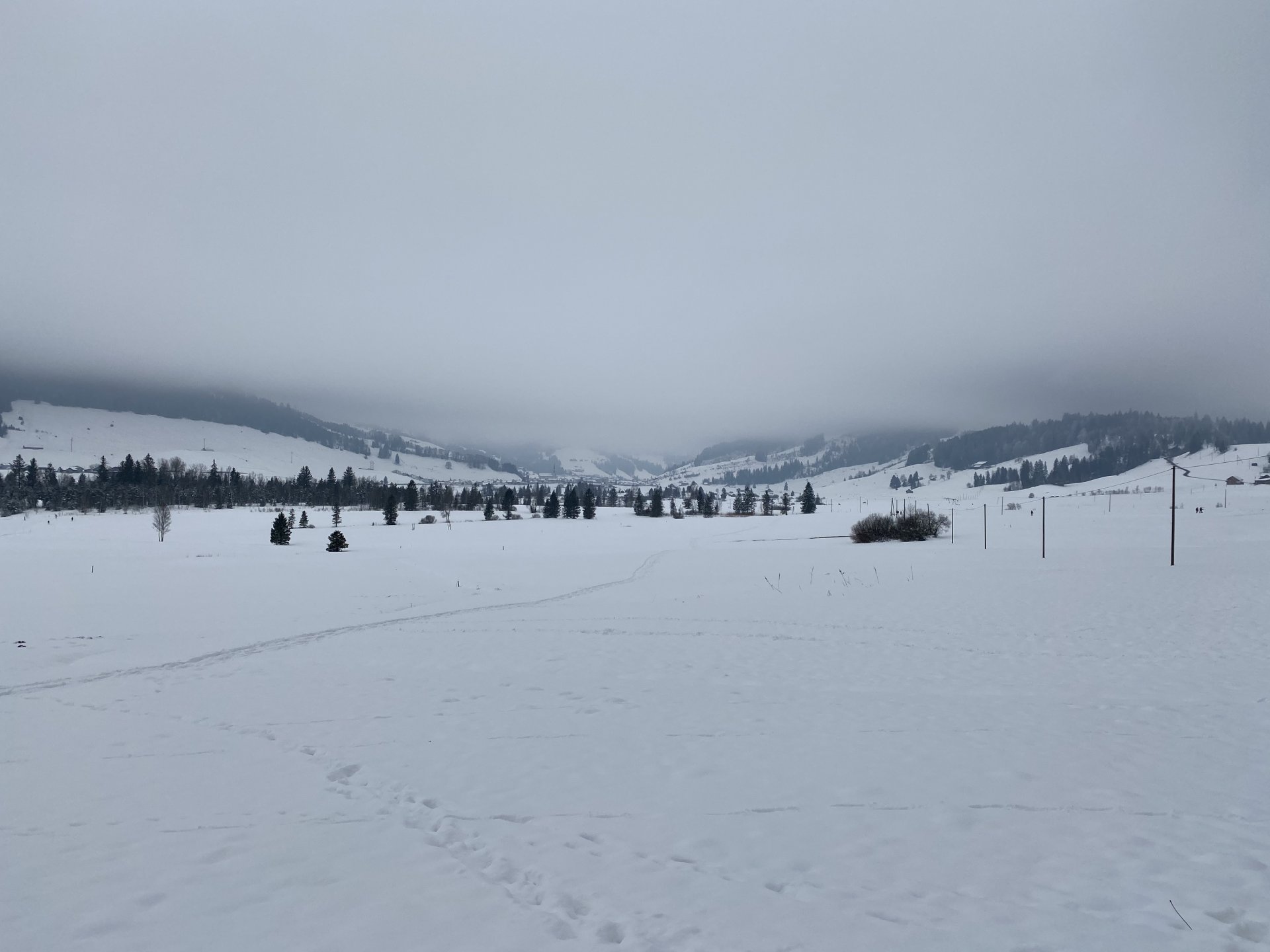 Emily Rose Mawson Blog