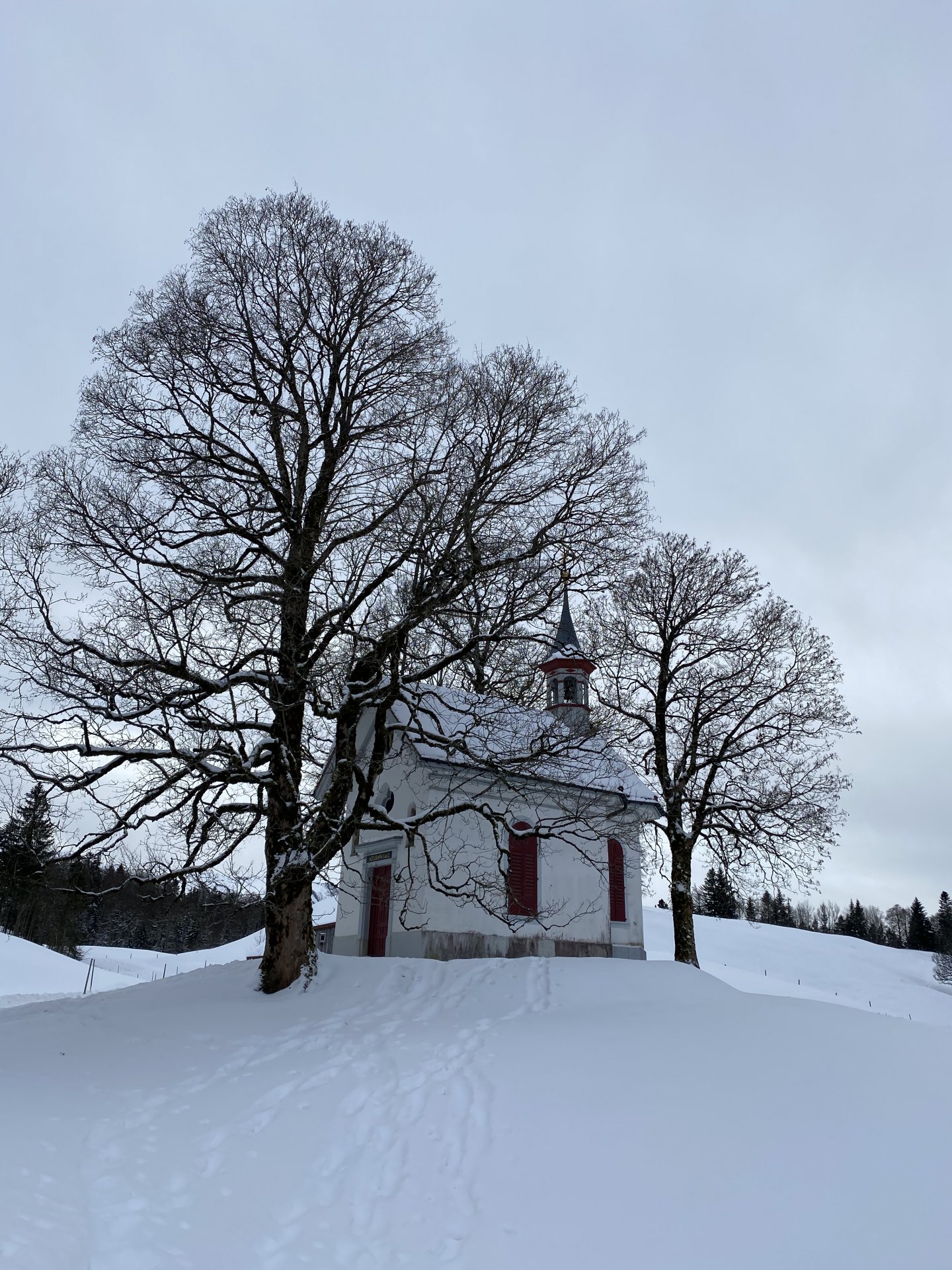 Emily Rose Mawson Blog