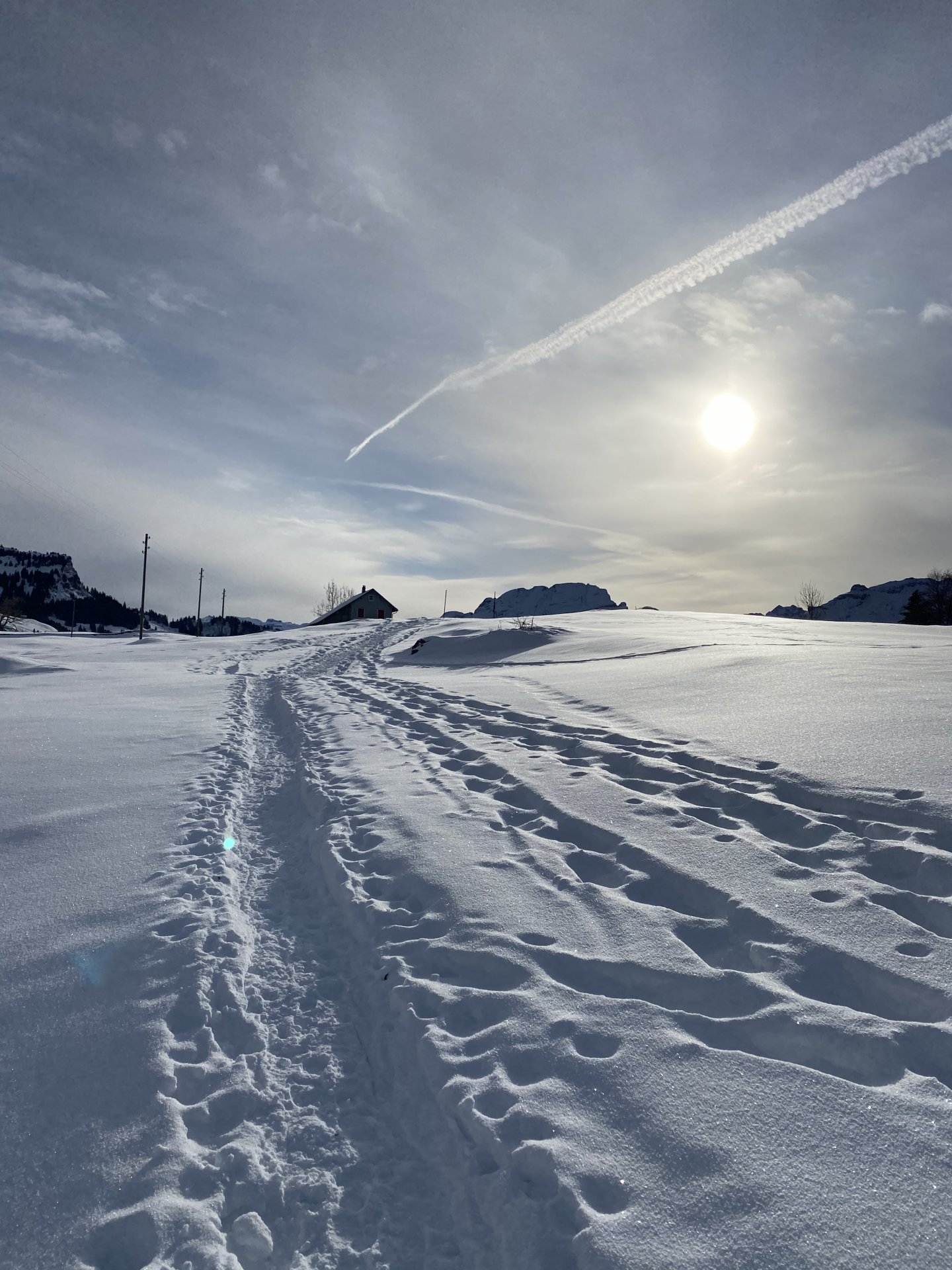 Emily Rose Mawson Blog