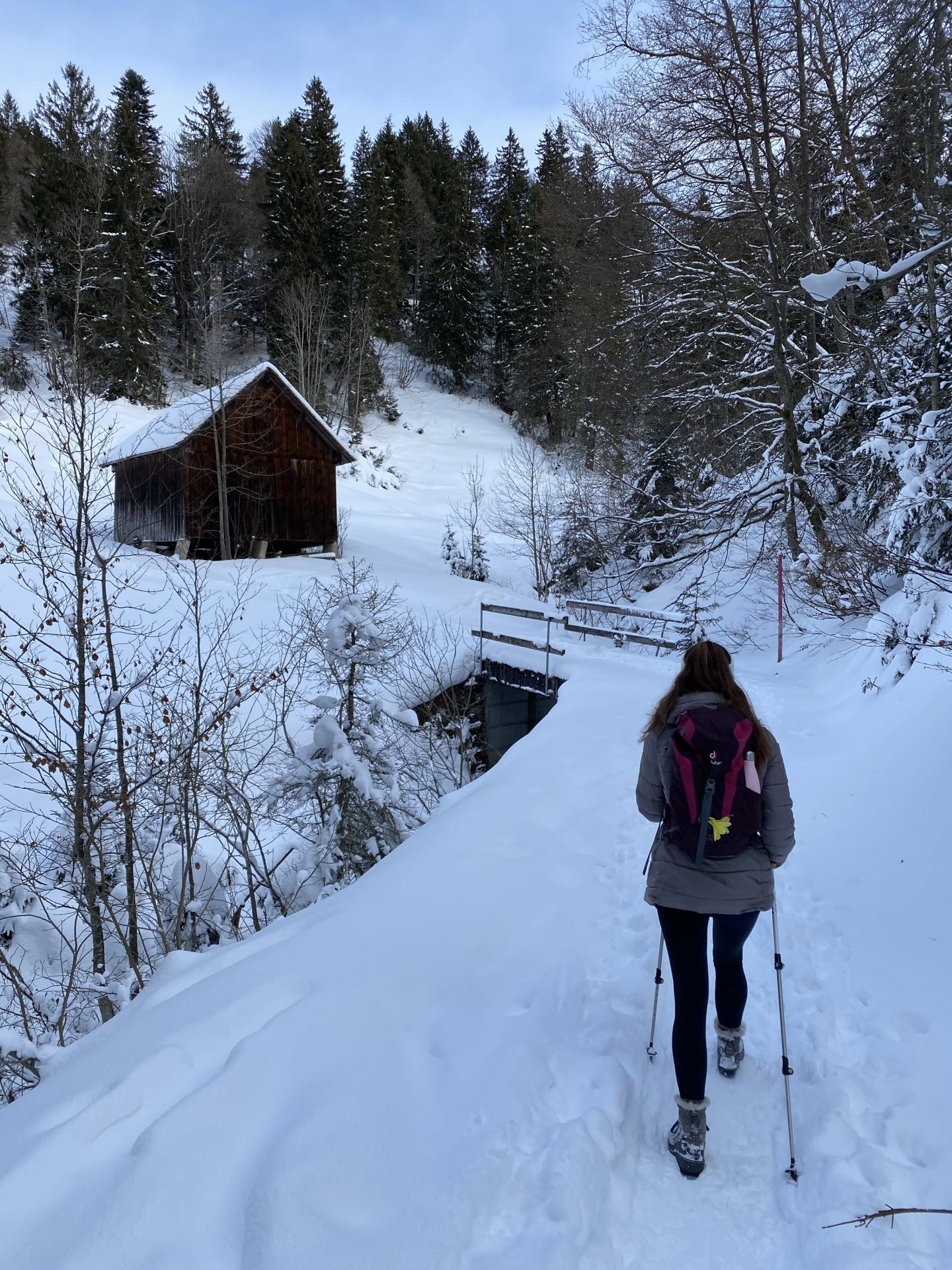 Emily Rose Mawson Blog