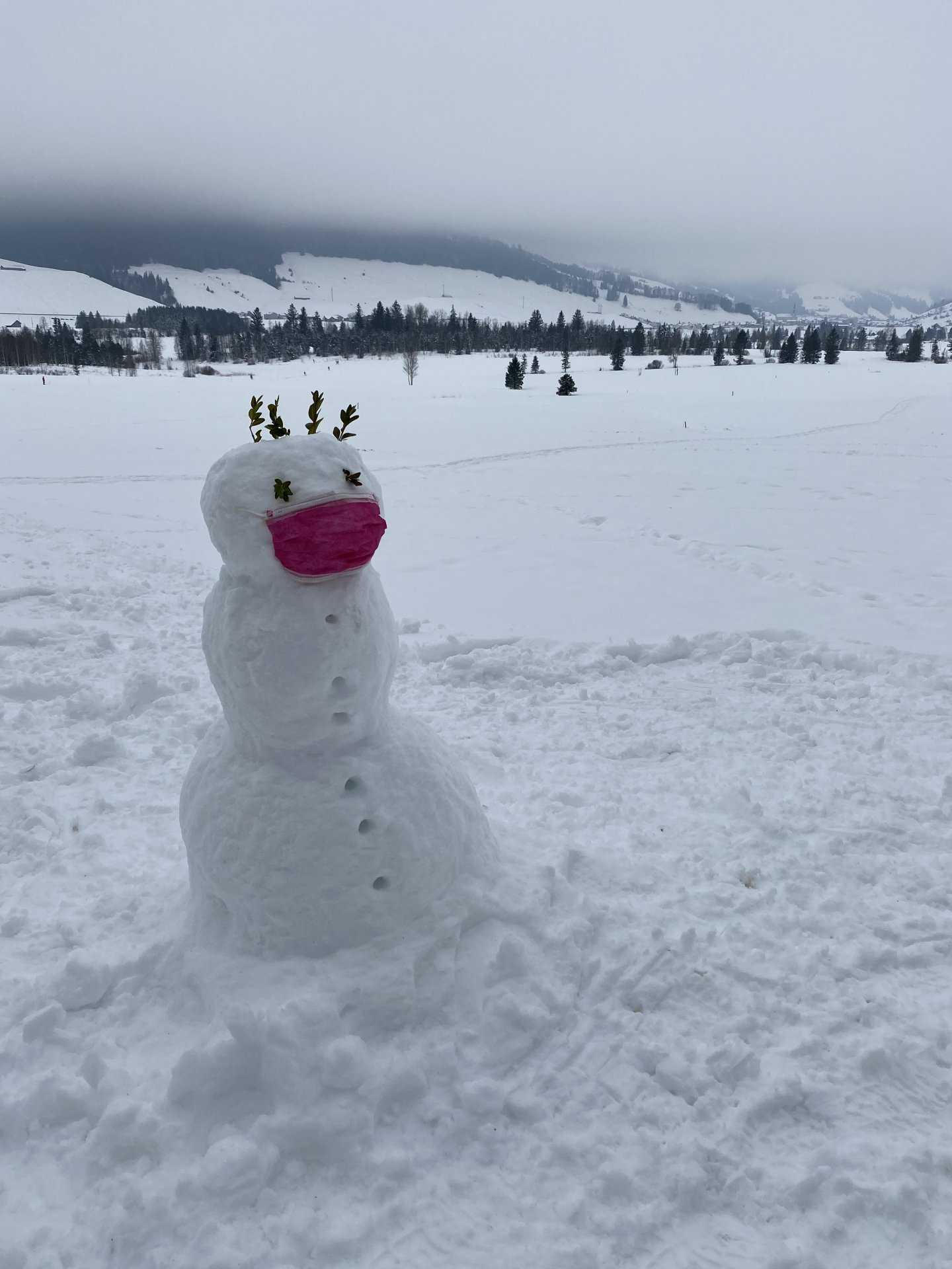 Emily Rose Mawson Blog