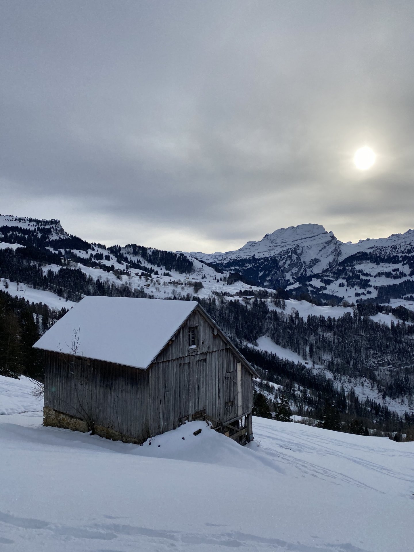 Emily Rose Mawson Blog