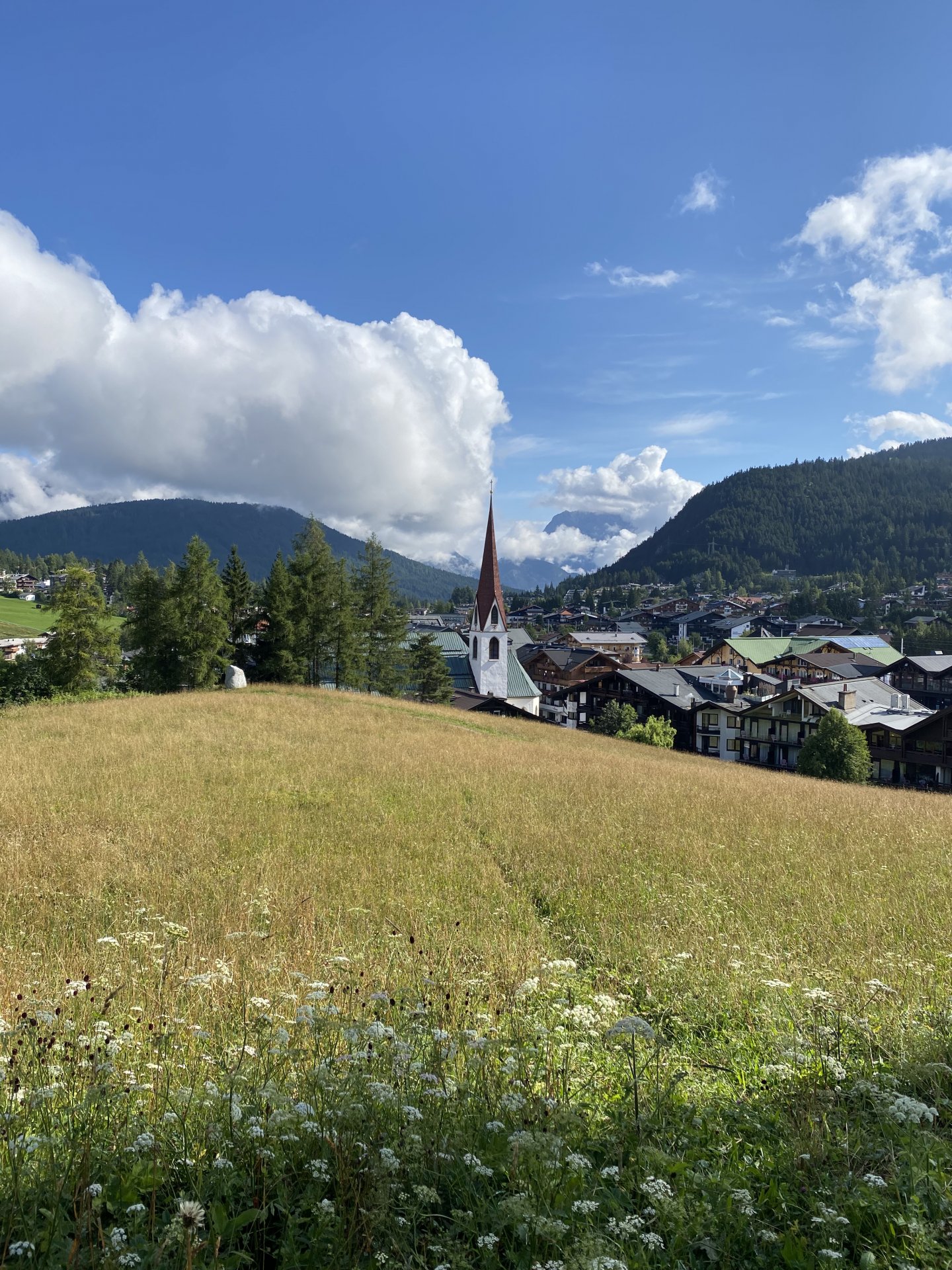 Emily Rose Mawson Blog