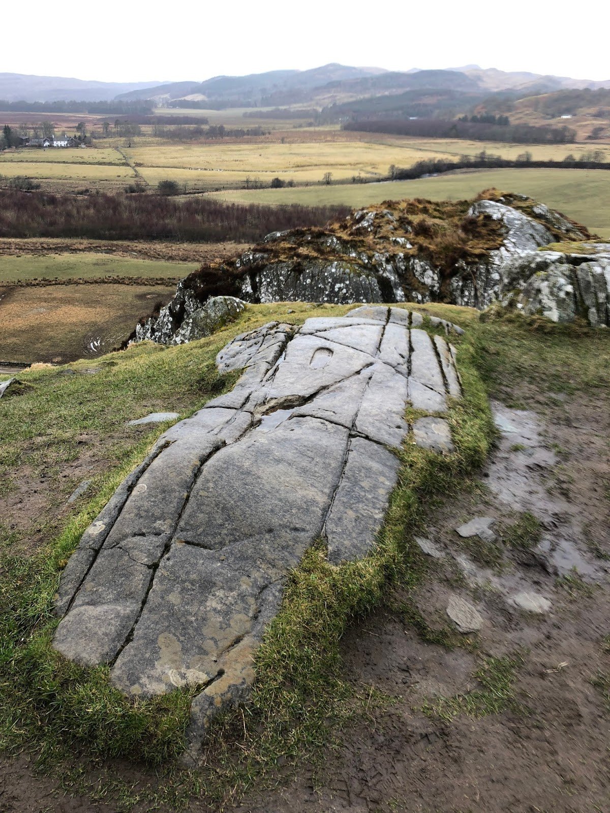 Emily Rose Mawson Blog