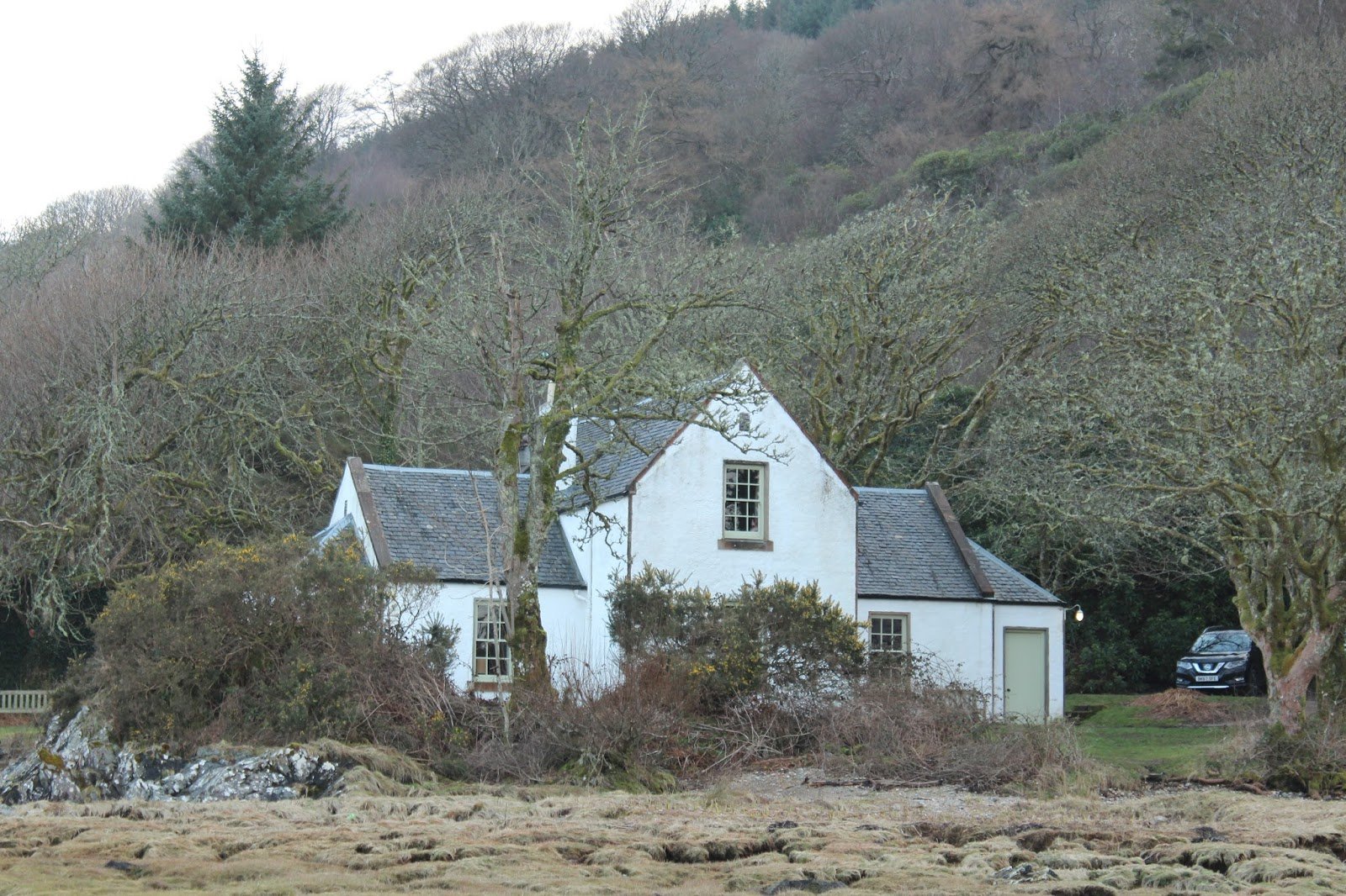 Emily Rose Mawson Blog