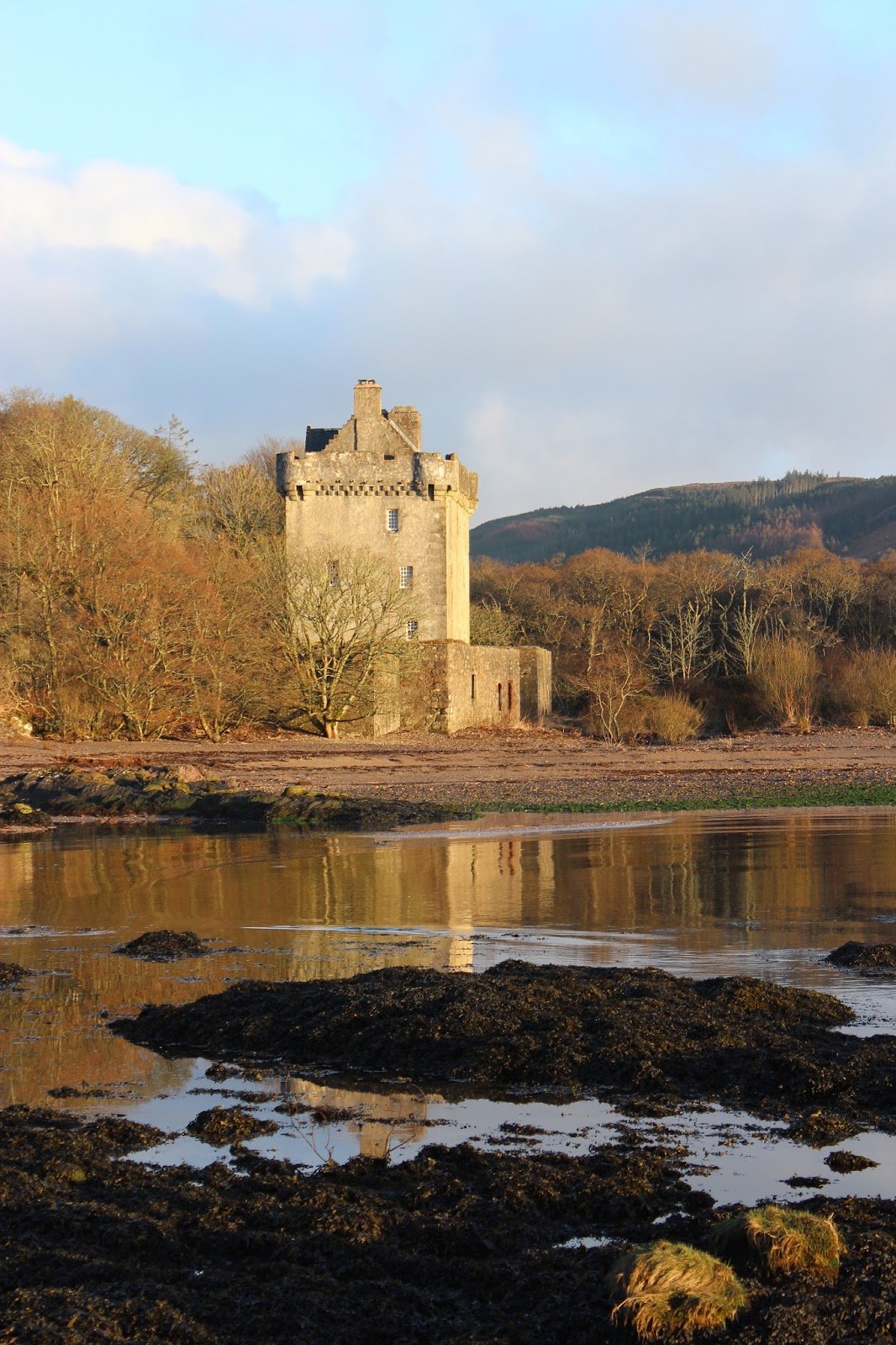 Emily Rose Mawson Blog