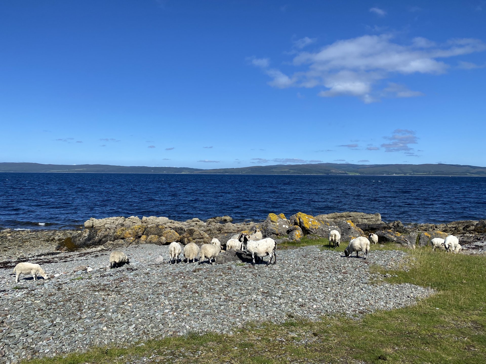 Emily Rose Mawson Blog