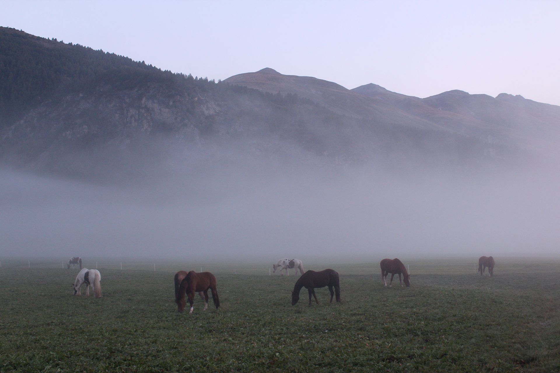 Emily Rose Mawson Blog