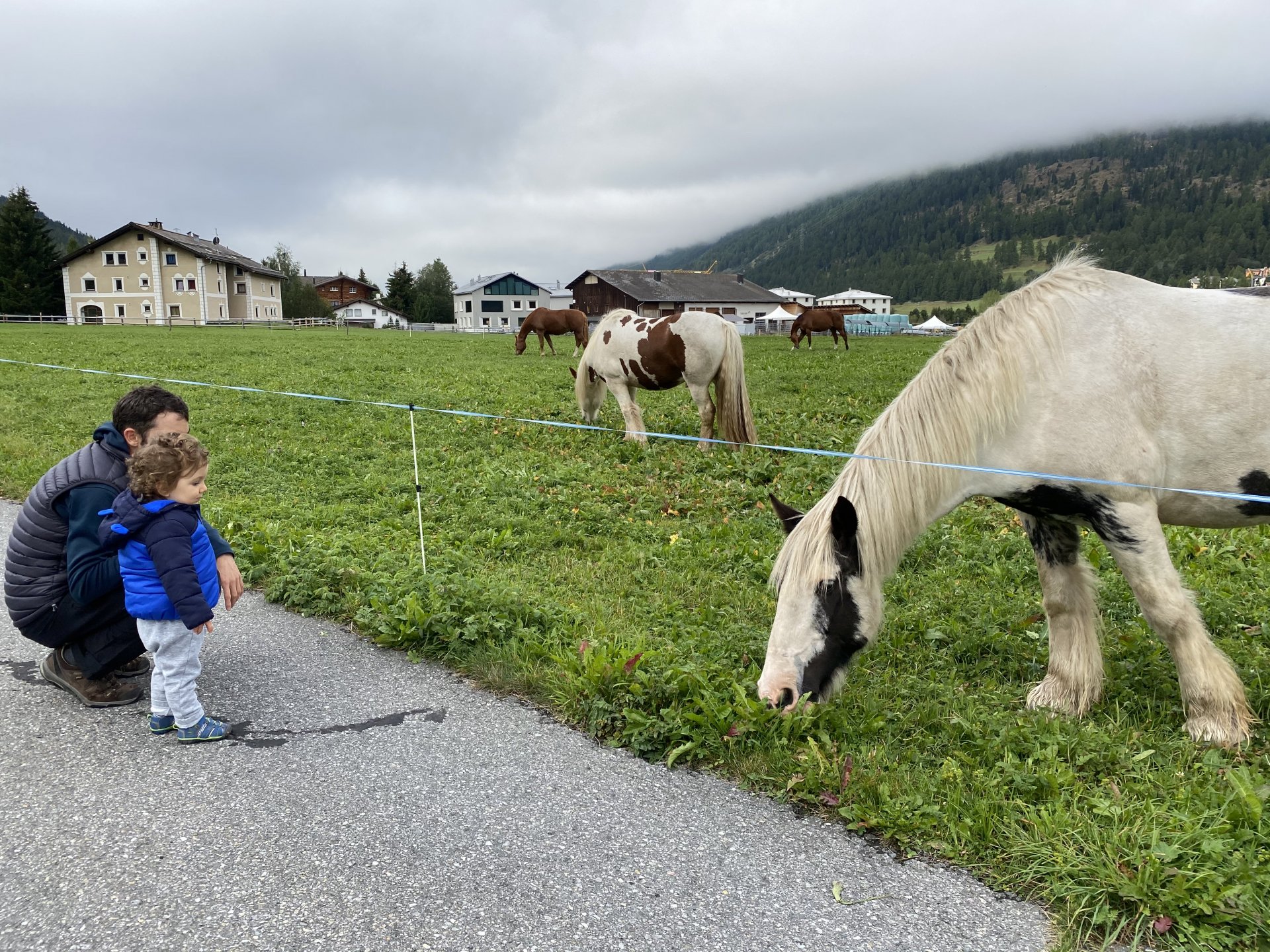 Emily Rose Mawson Blog