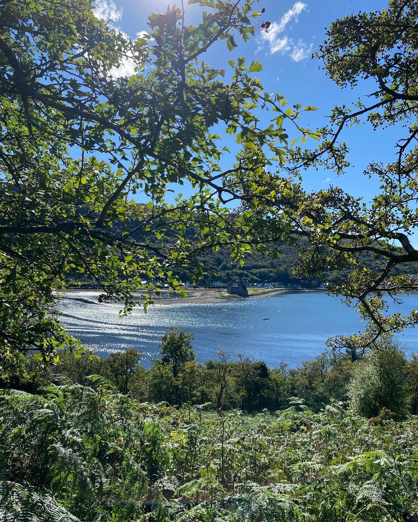 Emily Rose Mawson Blog