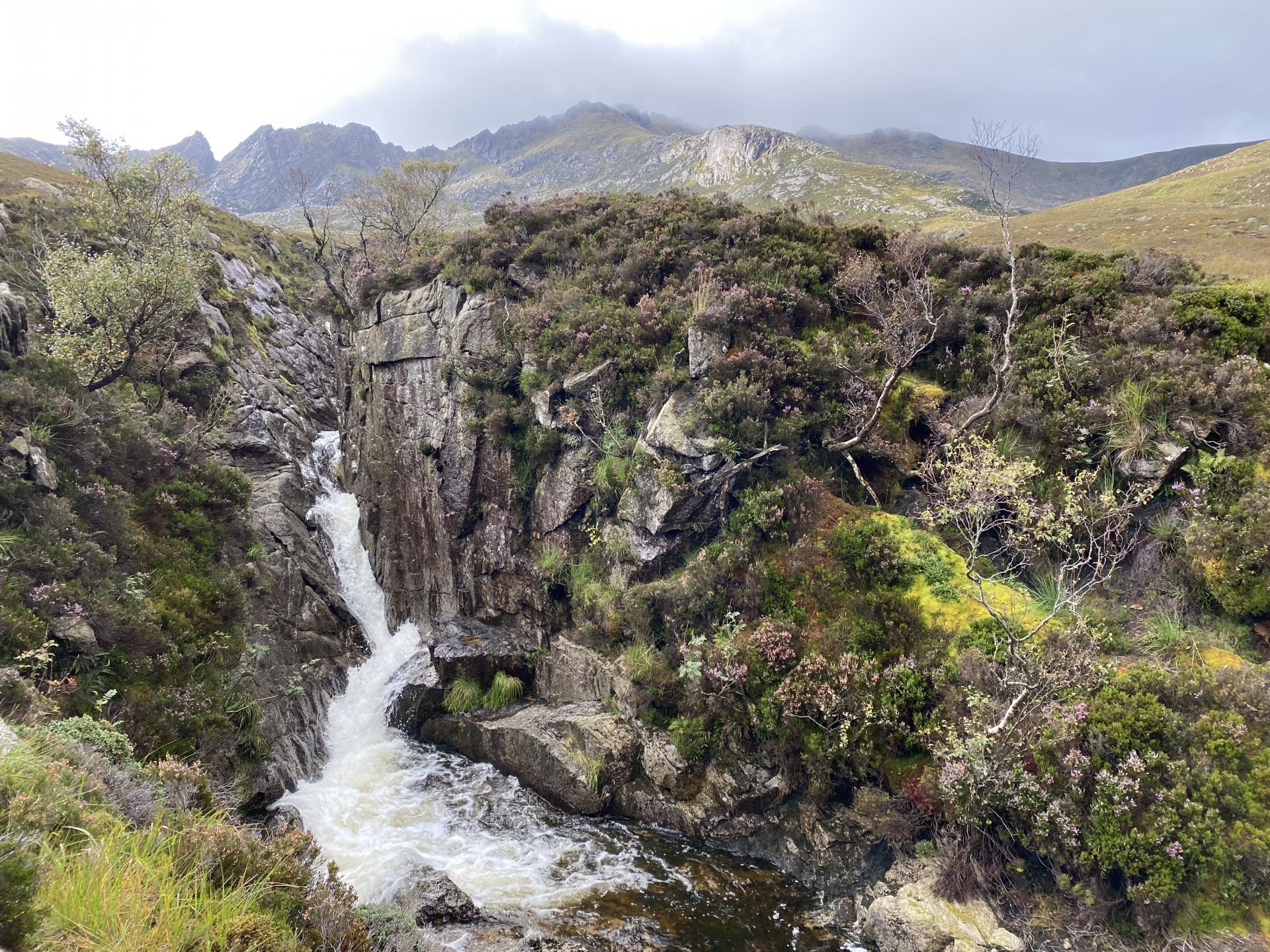 Emily Rose Mawson Blog