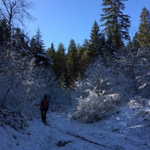 Waldhaus Flims