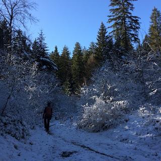 Waldhaus Flims