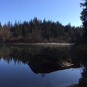 Waldhaus Flims