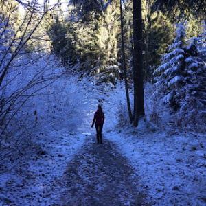 Waldhaus Flims